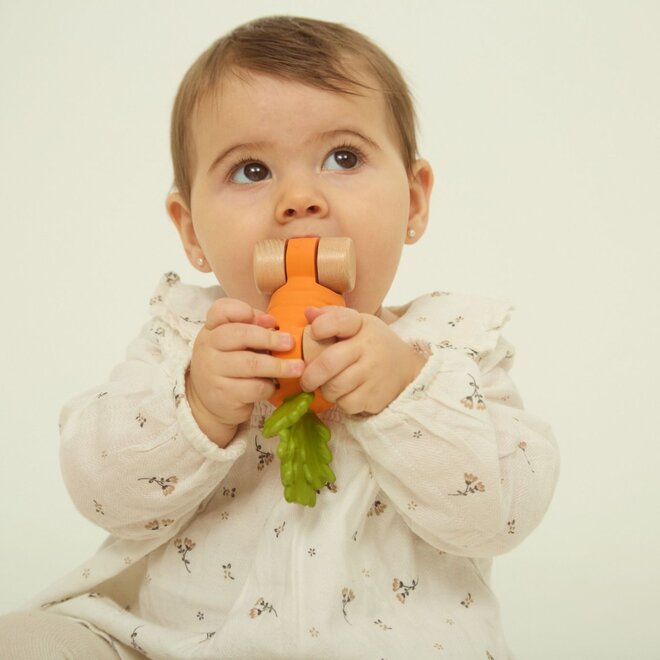 cathy the carrot baby car