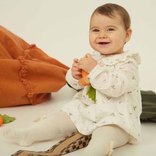 cathy the carrot baby car