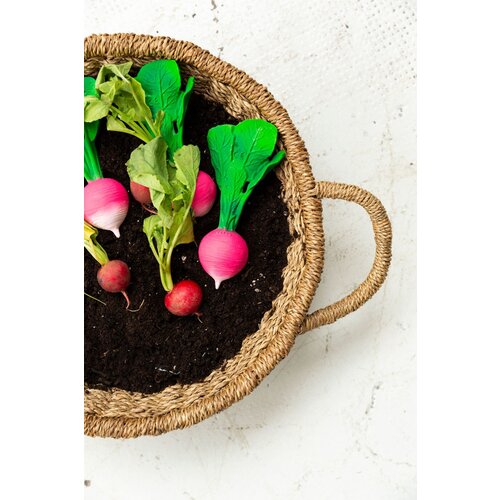 OLI & CAROL ramona the radish