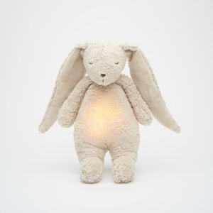 moonie the humming bunny sand natur