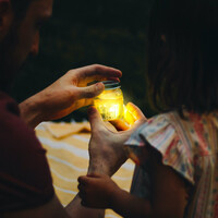 GLOPALS light up cubes alex - set van 4