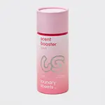 Laundry Sheets Laundry Sheets Scent Booster Peach