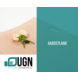 UGN Uitvaartkisten Aardeplank UGN Uitvaartkisten Aardeplank