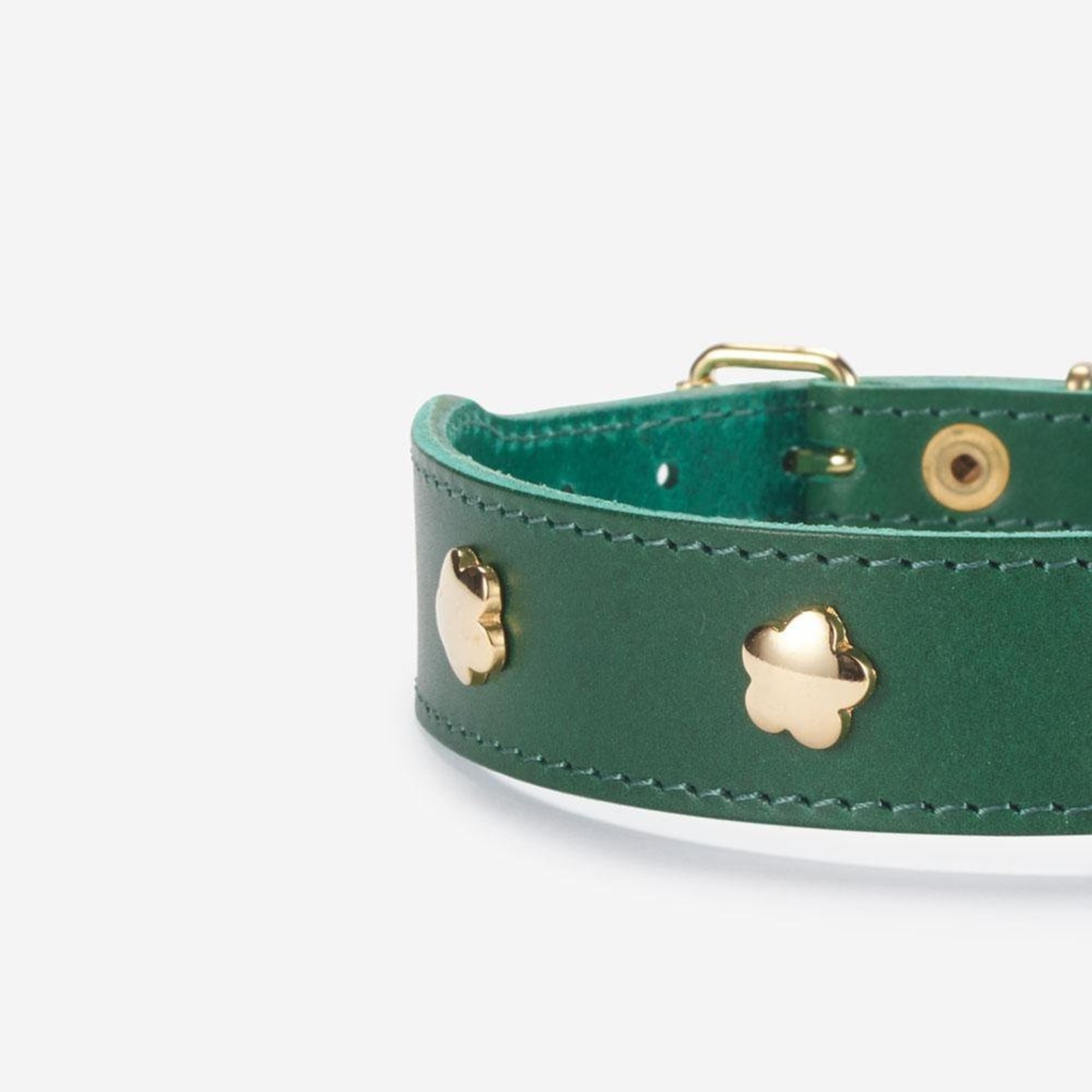 Branni Pets Green Flower Collar