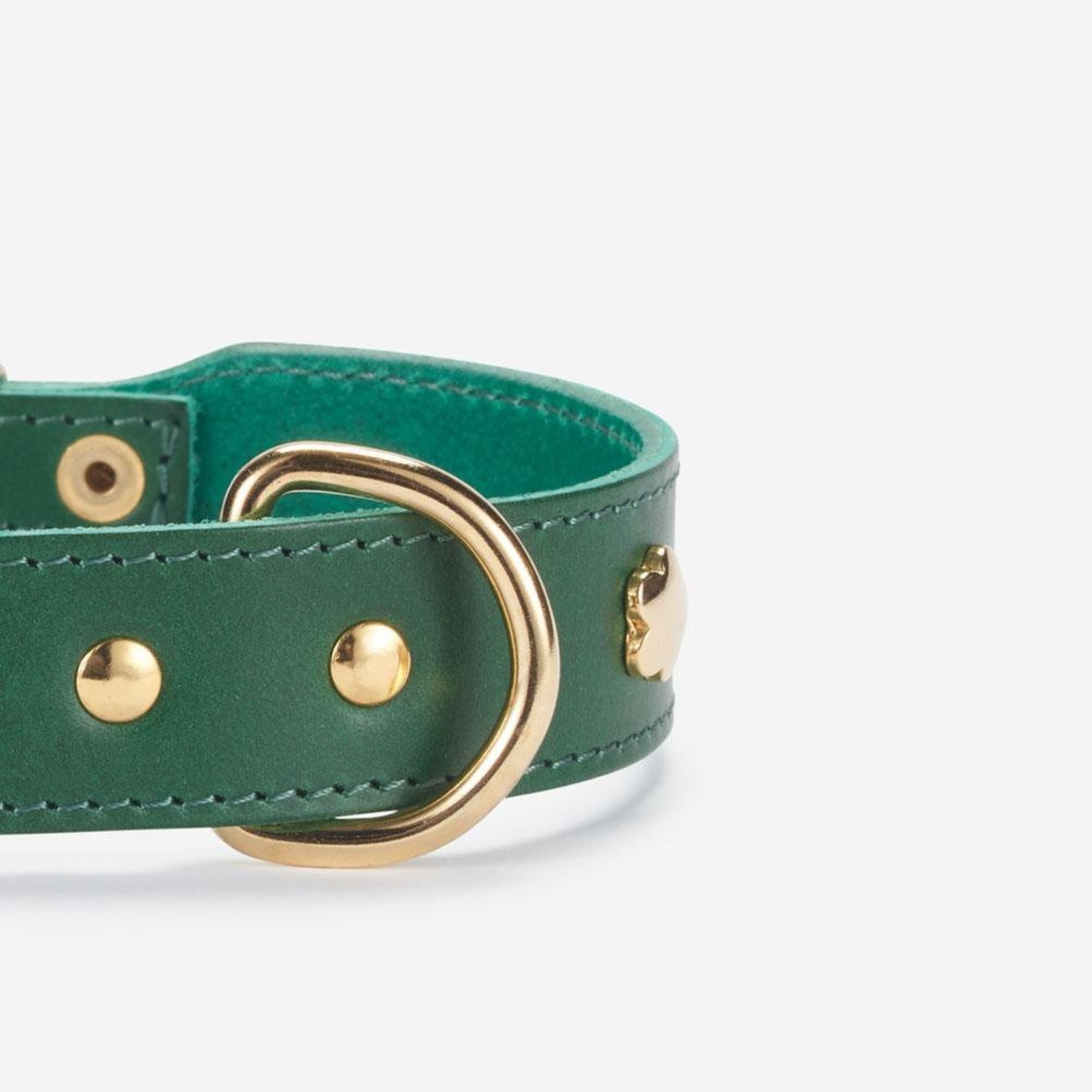 Branni Pets Green Flower Collar