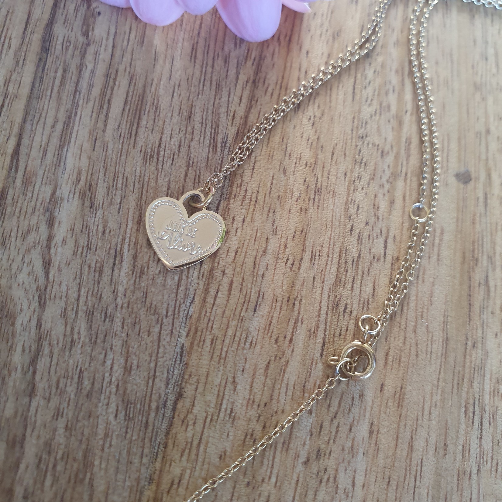 Bazou 14k gold plated necklace stainless steel heart - Joie de vivre