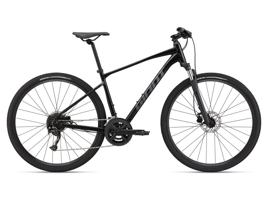 Giant Roam 2 Disc 2022