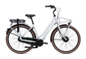 Giant Elektrische Fiets - Fietsenwinkel en Webshop - Rijwiel Cash en Carry
