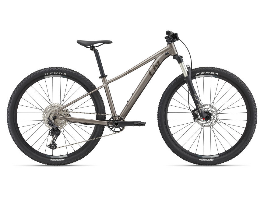 Liv Tempt 29 0 2022 Metal