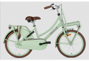Popal Daily Dutch Basic 22 inch Meisjes Pistache Groen