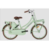 Popal Daily Dutch Basic+ 24 inch Meisjes Pistache Groen