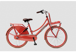 Popal Daily Dutch Basic+ 24 inch Meisjes Flamingo