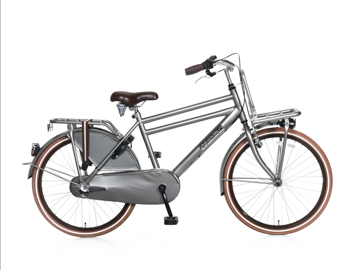 Popal Daily Dutch Basic+ 24 inch Jongens Titanium