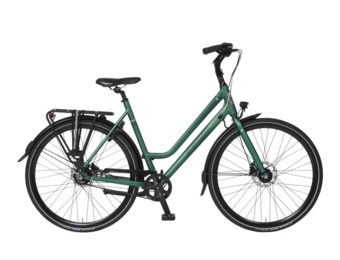 BSP Voyager Belt Emerald Green Matt Dames