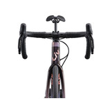 Liv Langma Advanced Pro 1 Disc 2023 Mirage Rosewood