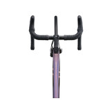 Liv Langma Advanced Pro 1 Disc 2023 Mirage Rosewood