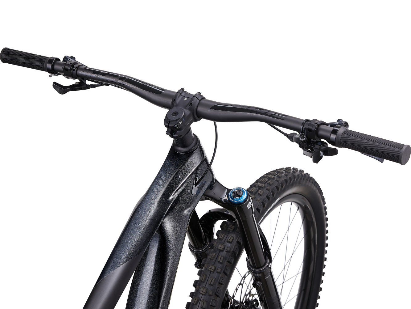 Giant Reign Advanced Pro 1 2023 Black Diamond - Carbon