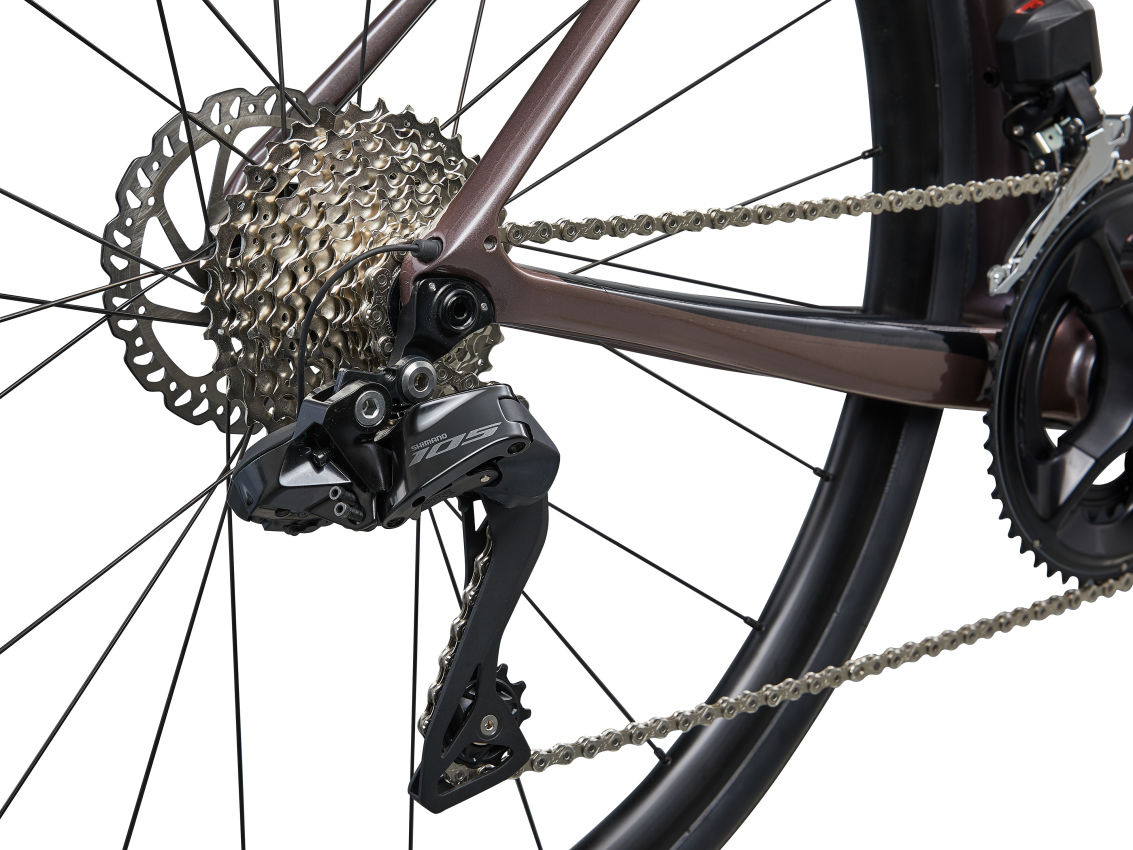 Giant Defy Advanced 1 2023 Orion Nebula