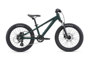 Giant STP 20 2023 Trekking Green