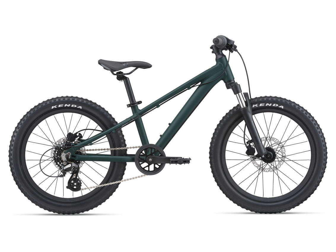 Giant STP 20 2023 Trekking Green