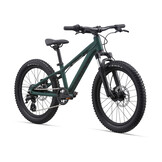 Giant STP 20 2023 Trekking Green