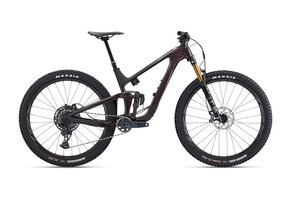 Giant Trance Advanced Pro 29 1 2023