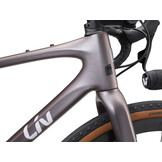 Devote Advanced Pro 2023 Orion Nebula