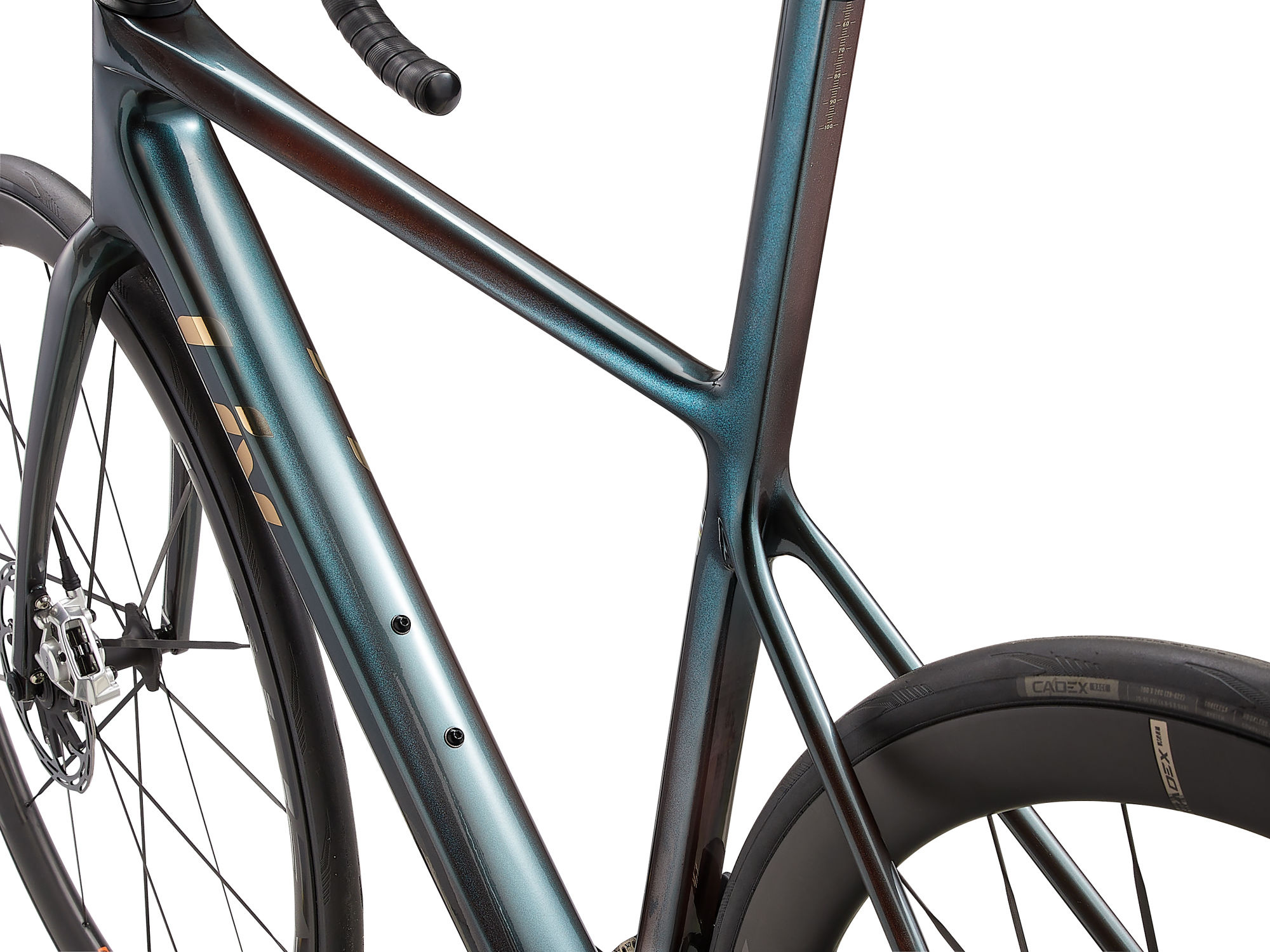 Liv Langma Advanced SL 0 2025 Tahitian Pearl