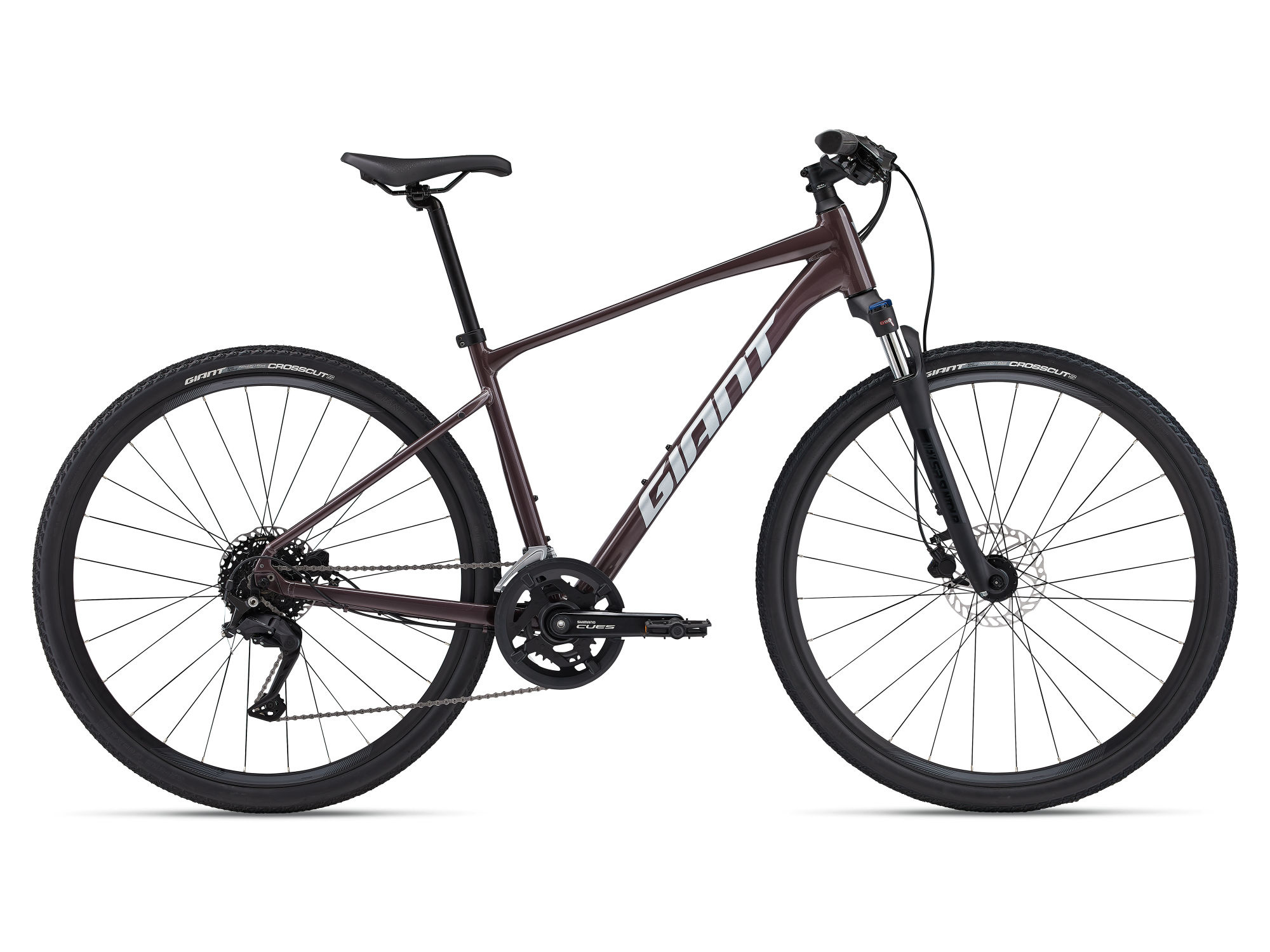 Giant Roam 2 Disc 2024 Charcoal Plum