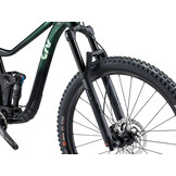 Liv Intrique 29 1 2024 Kelp Forest