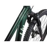 Liv Intrique 29 1 2024 Kelp Forest