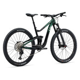 Liv Intrique 29 1 2024 Kelp Forest