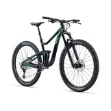 Liv Intrique 29 1 2024 Kelp Forest