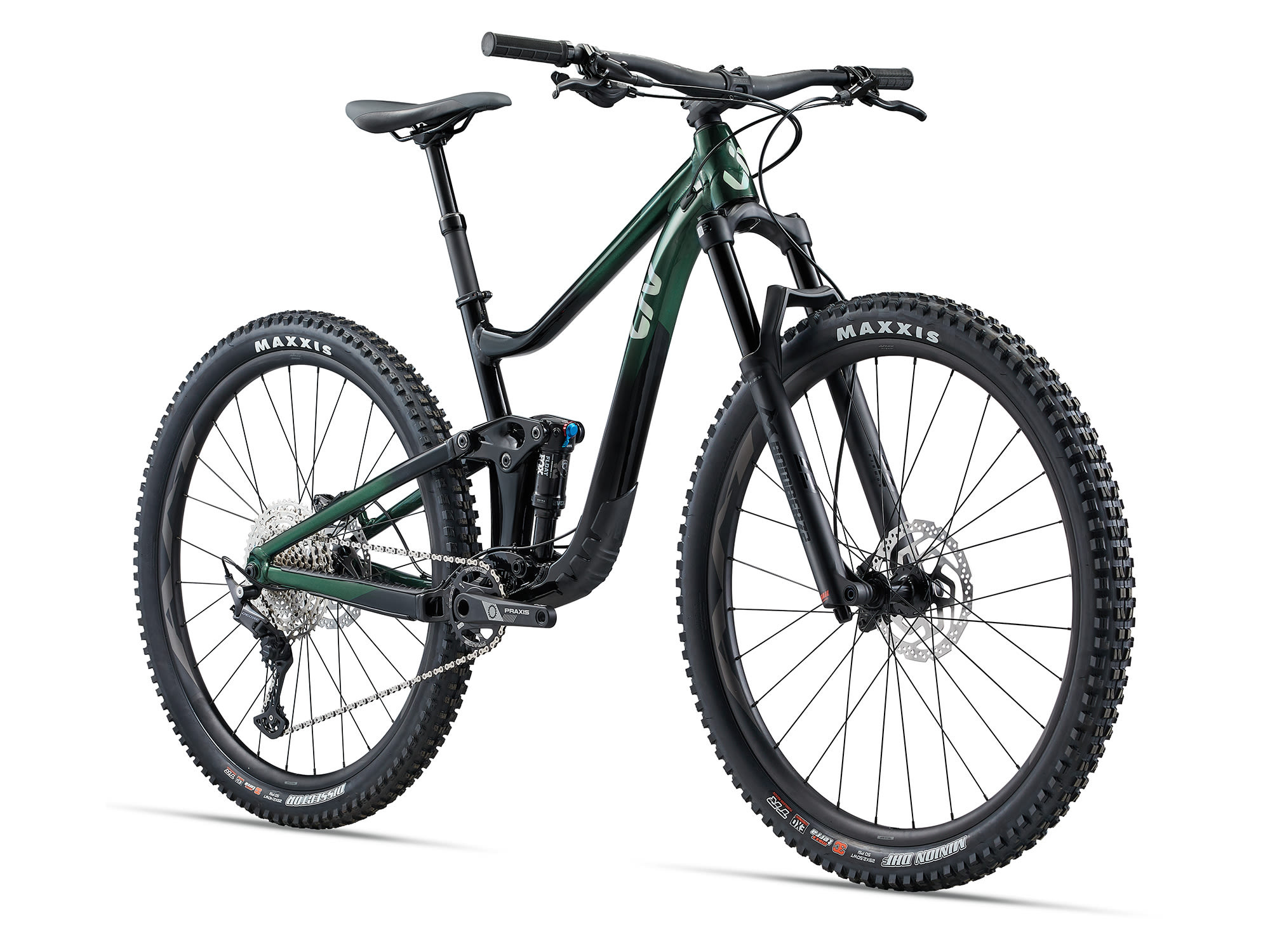 Liv Intrique 29 1 2024 Kelp Forest