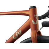 Liv Avail AR 2 2025 Solar Flare