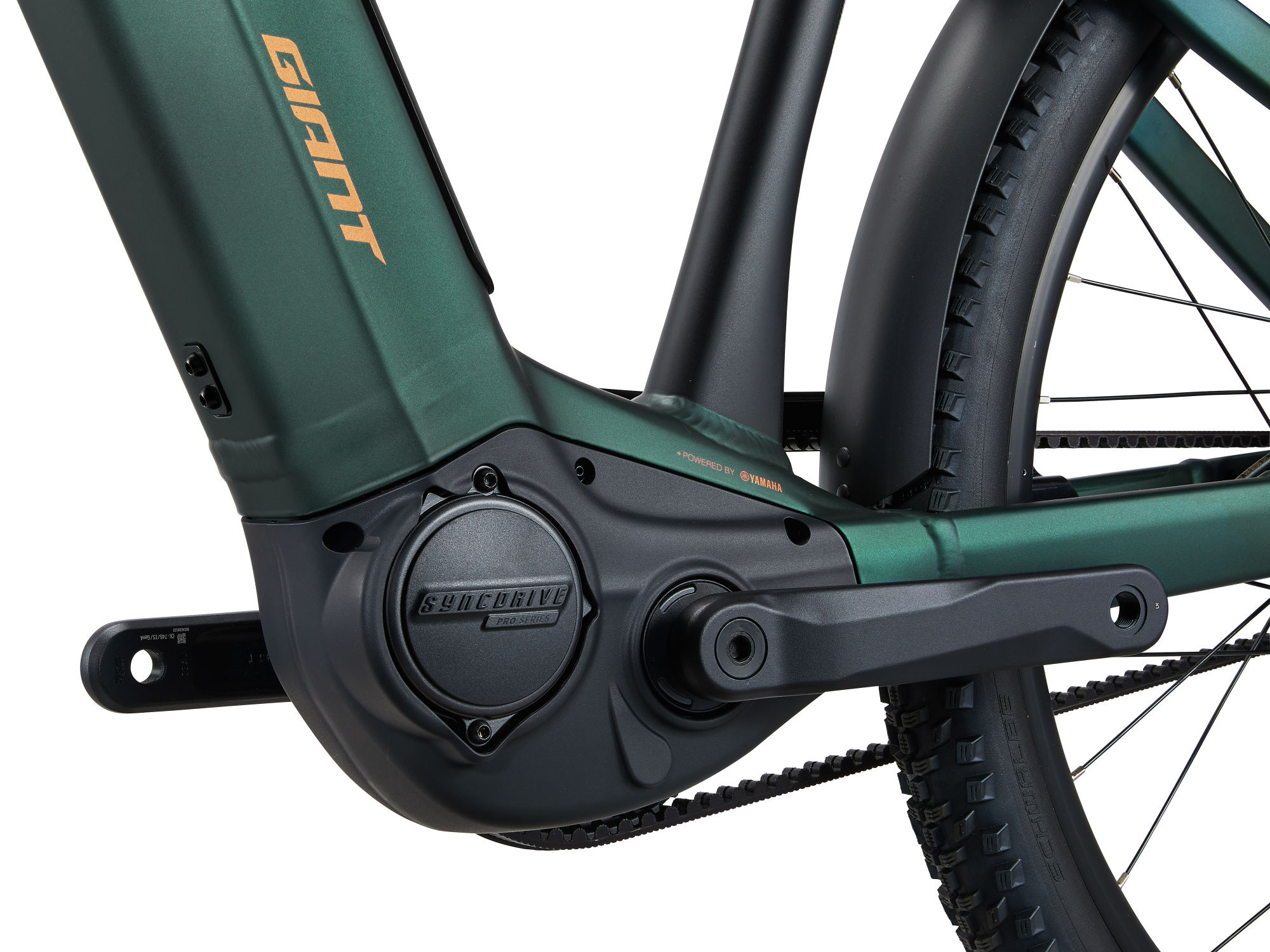 Giant Anytour X E+ 0 2025 Kelp Forest