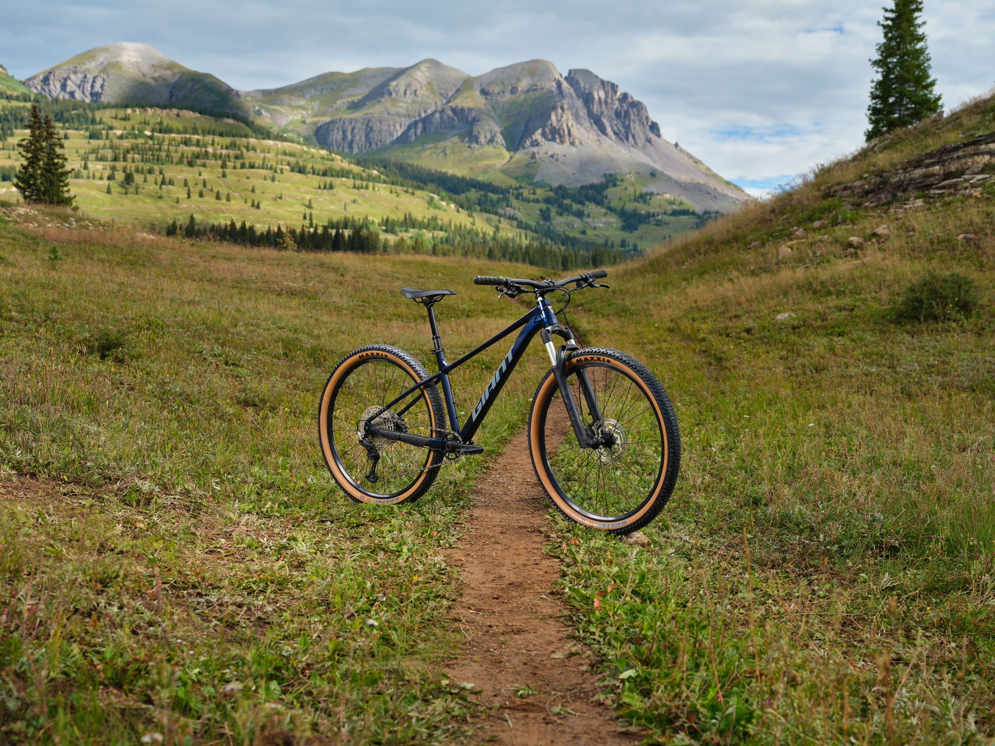 Giant Talon 0 2025 Ultra Navy