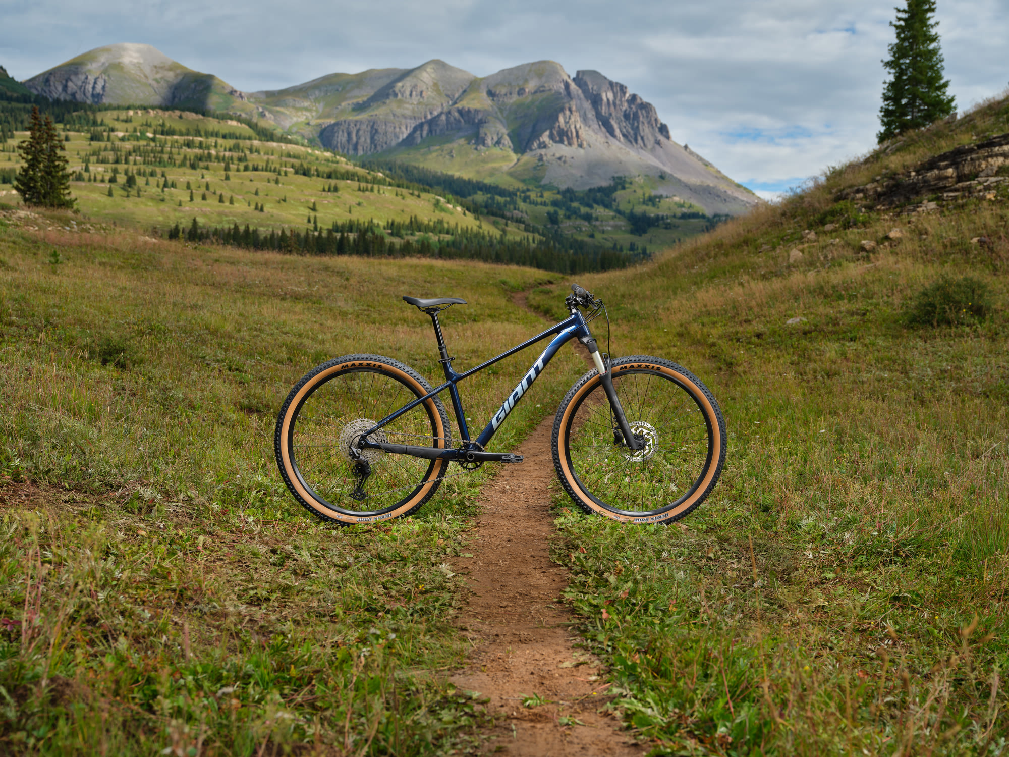 Giant Talon 0 2025 Ultra Navy