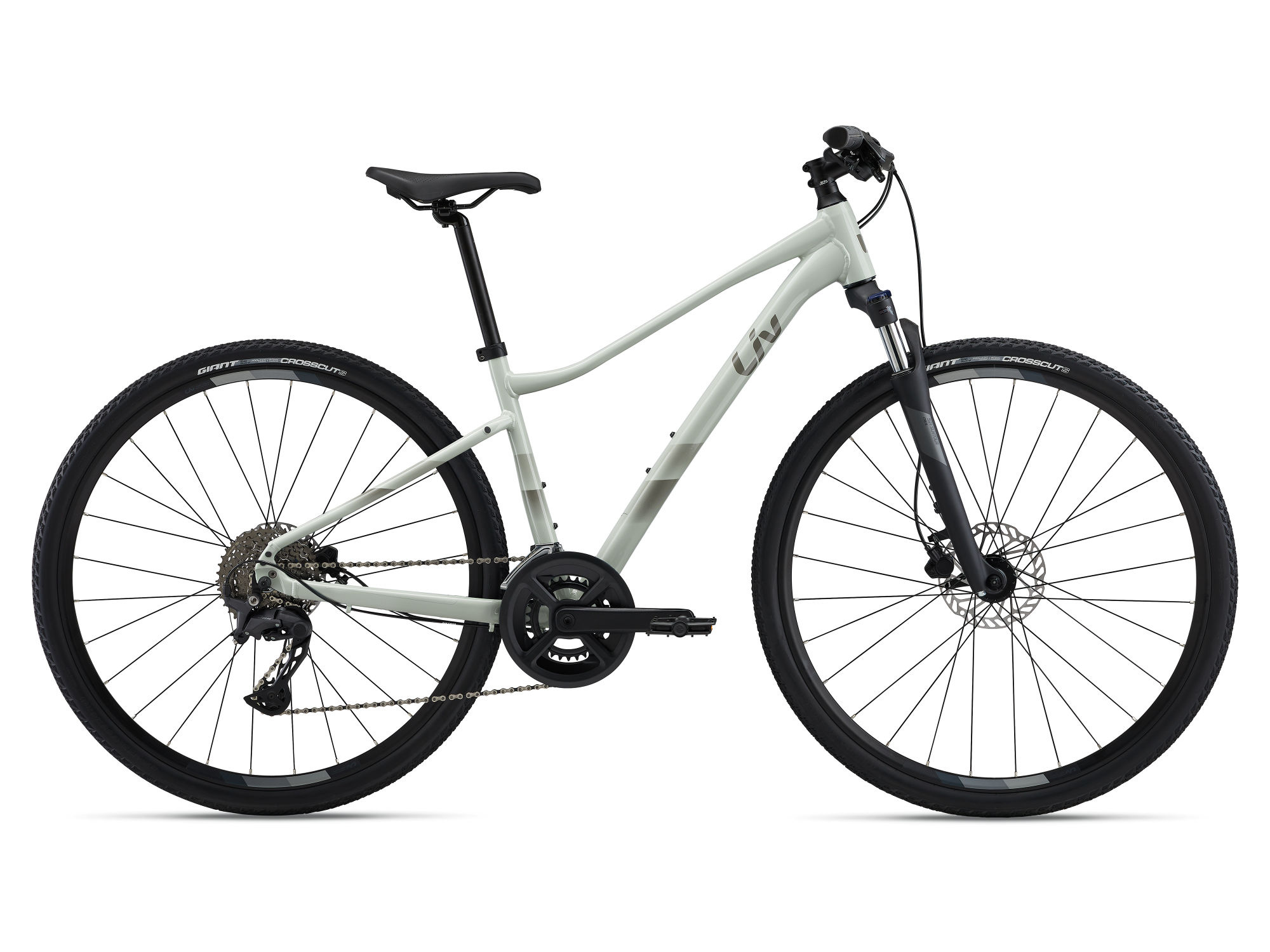 Liv Rove 2 Desert Sage 2024