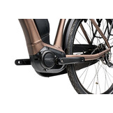 Giant Expression E+ 1 2025 Truffle