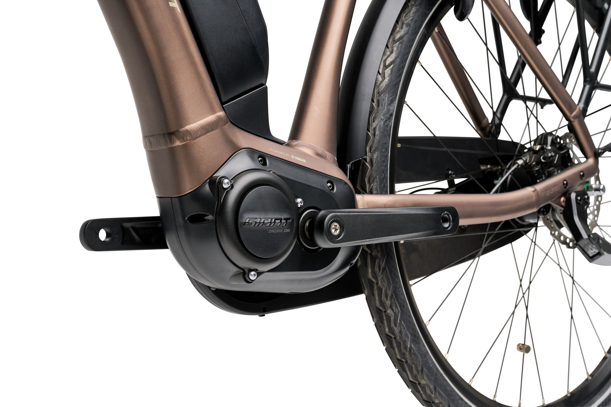 Giant Expression E+ 1 2025 Truffle