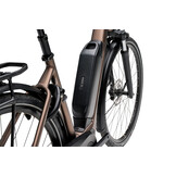 Giant Expression E+ 1 2025 Truffle