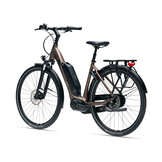 Giant Expression E+ 1 2025 Truffle