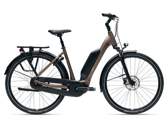 Giant Expression E+ 1 2025 Truffle