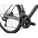 Liv Avail Advanced 2 2026 Moonstone-Gray