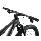 Giant Anthem Advanced SL 0 2026 Raw Carbon