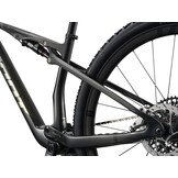 Giant Anthem Advanced SL 0 2026 Raw Carbon