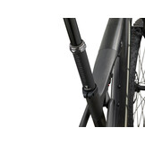 Giant Anthem Advanced SL 0 2026 Raw Carbon