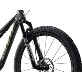 Giant Anthem Advanced SL 0 2026 Raw Carbon