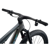 Giant Anthem Advanced SL 1 2026 Rainbow Black